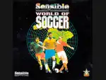 Play Sensible World of Soccer online