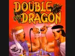 Play Double Dragon online